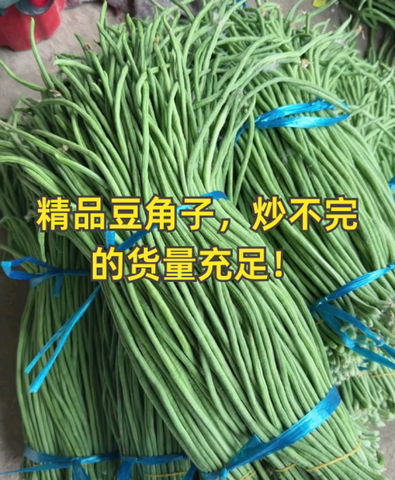 精品豆角子，炒不完的货量充足。