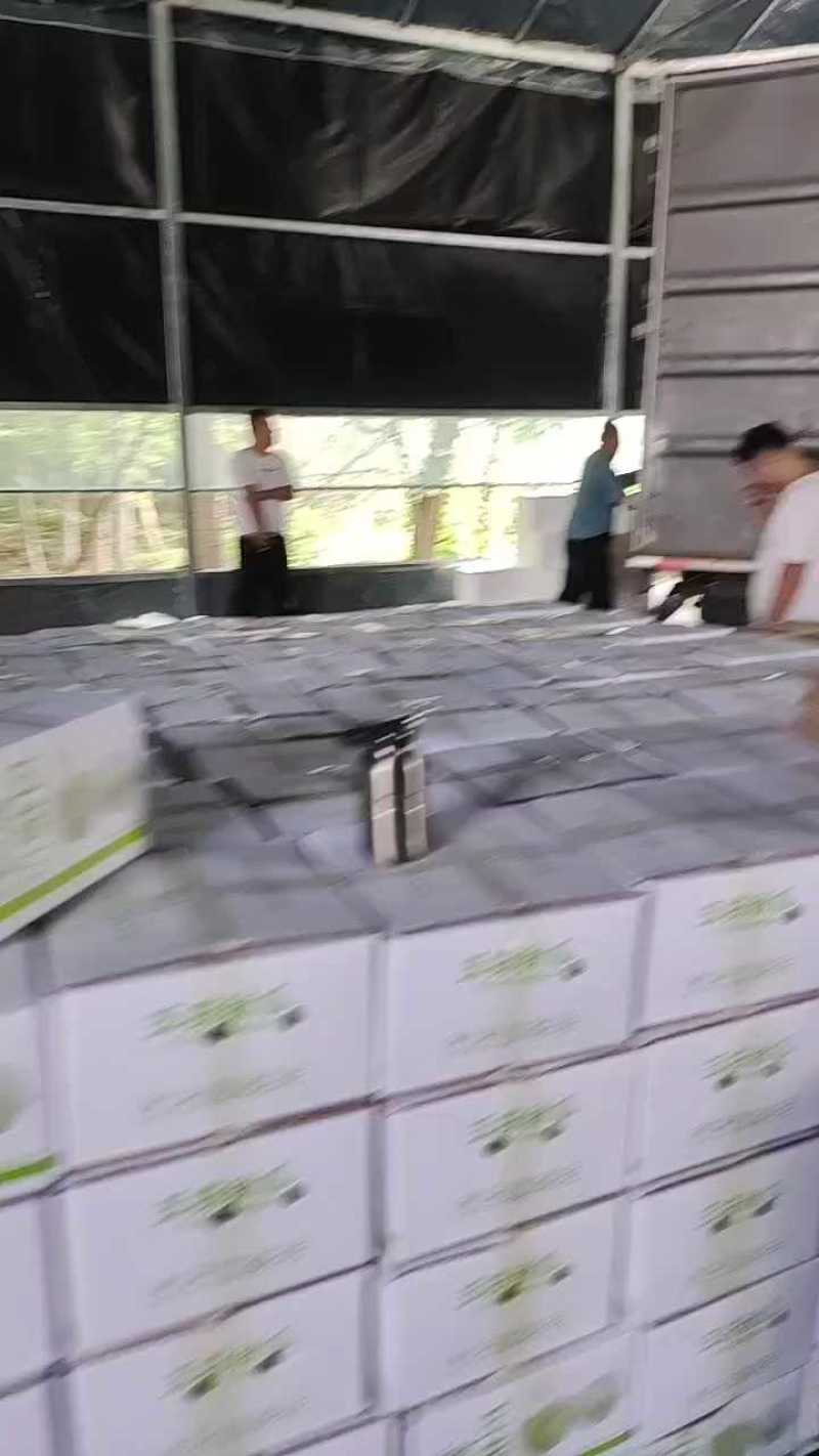 玉菇冰淇凌甜瓜，对接全平台电商，多多仓，商超团购等渠道