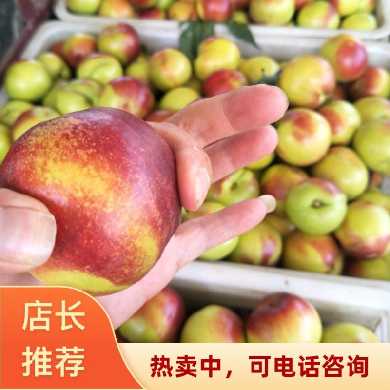 2026湖北曙光油桃黄肉油桃大量上市清甜可口现货