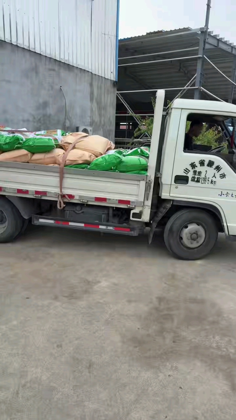 烧烤撒料，烤肉蘸料，东森公司厂家直销
