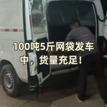 (推荐)小白嘴、铁棍山药，产地直供全国各大批发市场