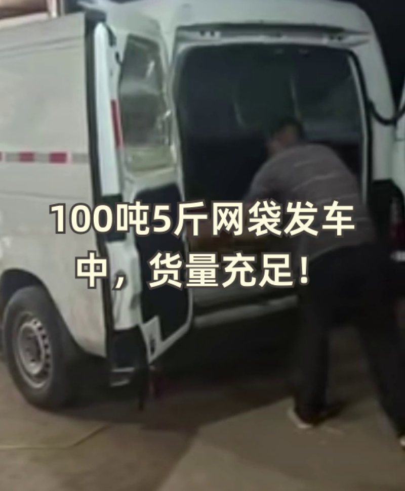 (推荐)小白嘴、铁棍山药，产地直供全国各大批发市场