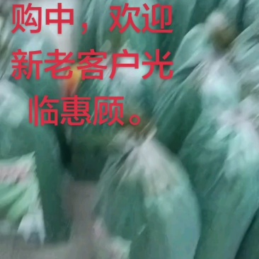 品质至上，真诚服务，严控质量