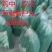 品质至上，真诚服务，严控质量
