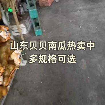 贝贝南瓜工厂对接批发市场.电商.商超.加工厂各平全国发货
