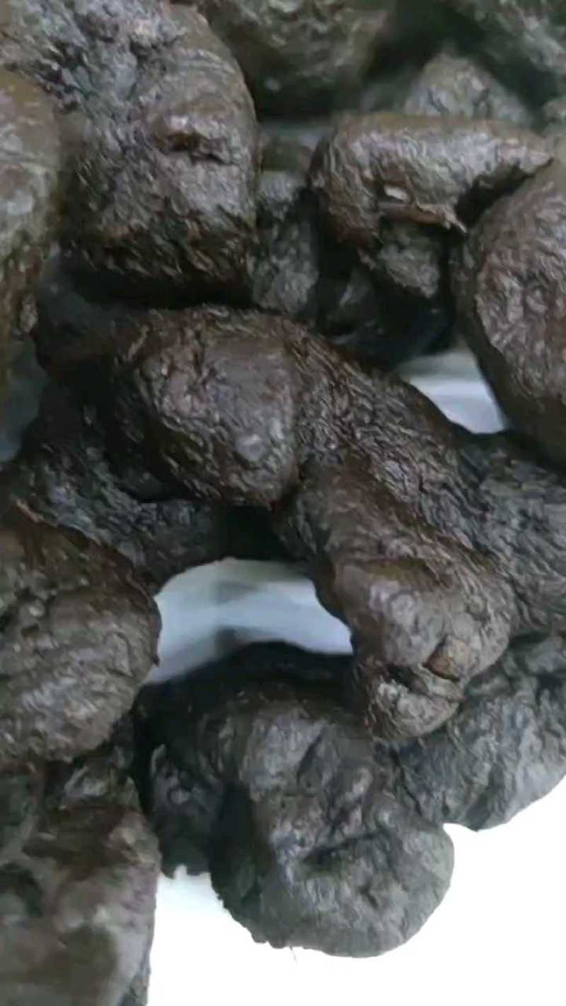 云南黄精大量供货产地直发价格优惠品质保证欢迎来电洽谈