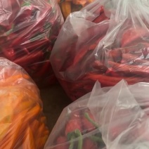 【寿光彩椒】红椒黄椒量大发货价格明确进店联系下单