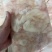 每天现杀新冻白鲢鱼泡，每天4~5百斤左右，欢迎订购