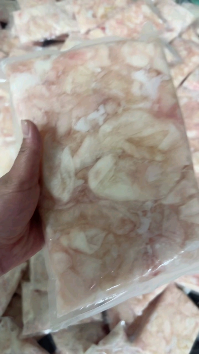 每天现杀新冻白鲢鱼泡，每天4~5百斤左右，欢迎订购