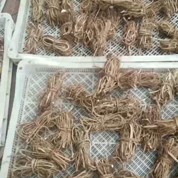 五指毛桃干货无硫磺无包心（精品）小扎把产地直发，大量现货