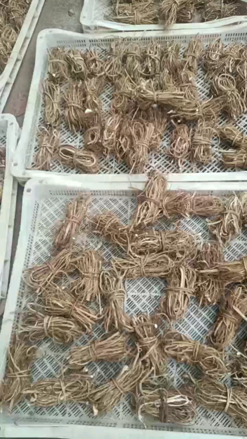 五指毛桃干货无硫磺无包心（精品）小扎把产地直发，大量现货