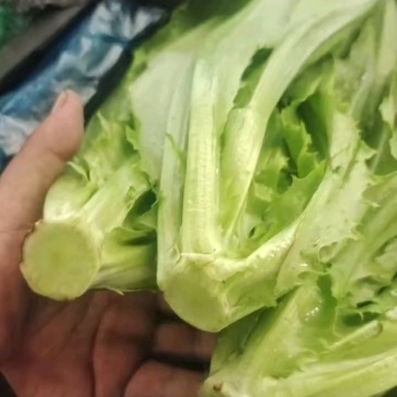 【实力商家】产地直发【保质保量】诚信经营【量大从优】油麦