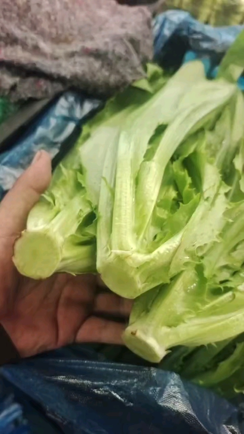 【实力商家】产地直发【保质保量】诚信经营【量大从优】油麦