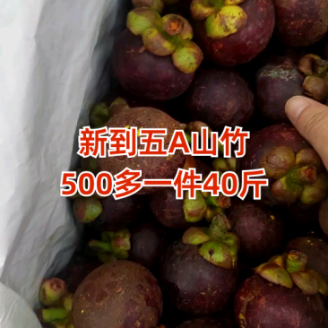 新到五A山竹，500多一件，货品优质！