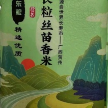 油粘米新米，10斤/袋真空包装，可定制包装，常年供应