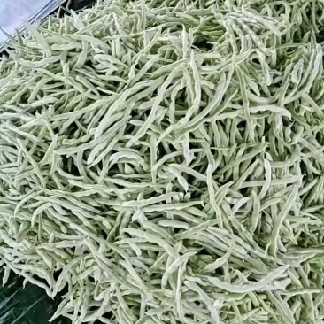 精品大量，白芸豆角欢迎老板采购！