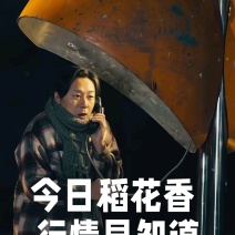 新稻子稻花香二号