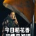 新稻子稻花香二号