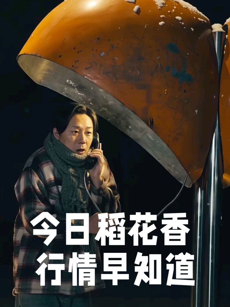 新稻子稻花香二号