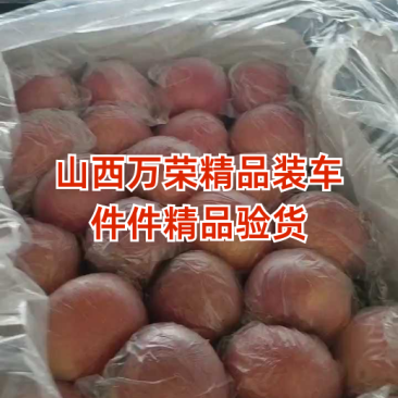 万荣纸加膜冰糖心红富士羊奶苹果可视频看货一条龙服务来电优惠