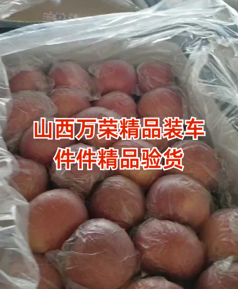 万荣纸加膜冰糖心红富士羊奶苹果可视频看货一条龙服务来电优惠