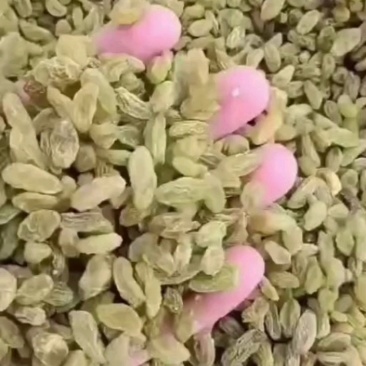 【厂家直供】新疆葡萄干一手货源供电商平台可做小包装