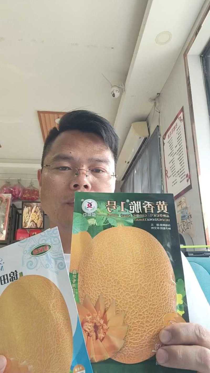 黄香脆1号哈蜜瓜种子黄皮红肉大果型抗病抗裂