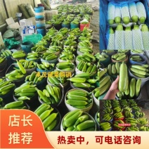 【实力】山西西葫芦/工棚绿皮西葫芦/大量供应/全国发货