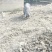老品种土猪雅南猪濒危品种60年代味道可视频看货