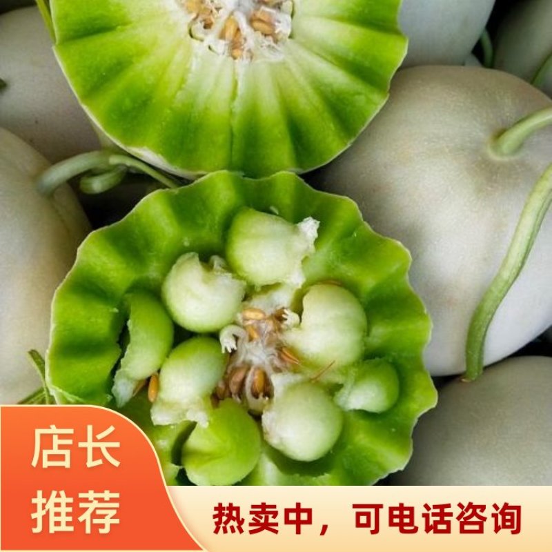 2026精品头茬玉菇甜瓜河南滑县甜瓜基地批发