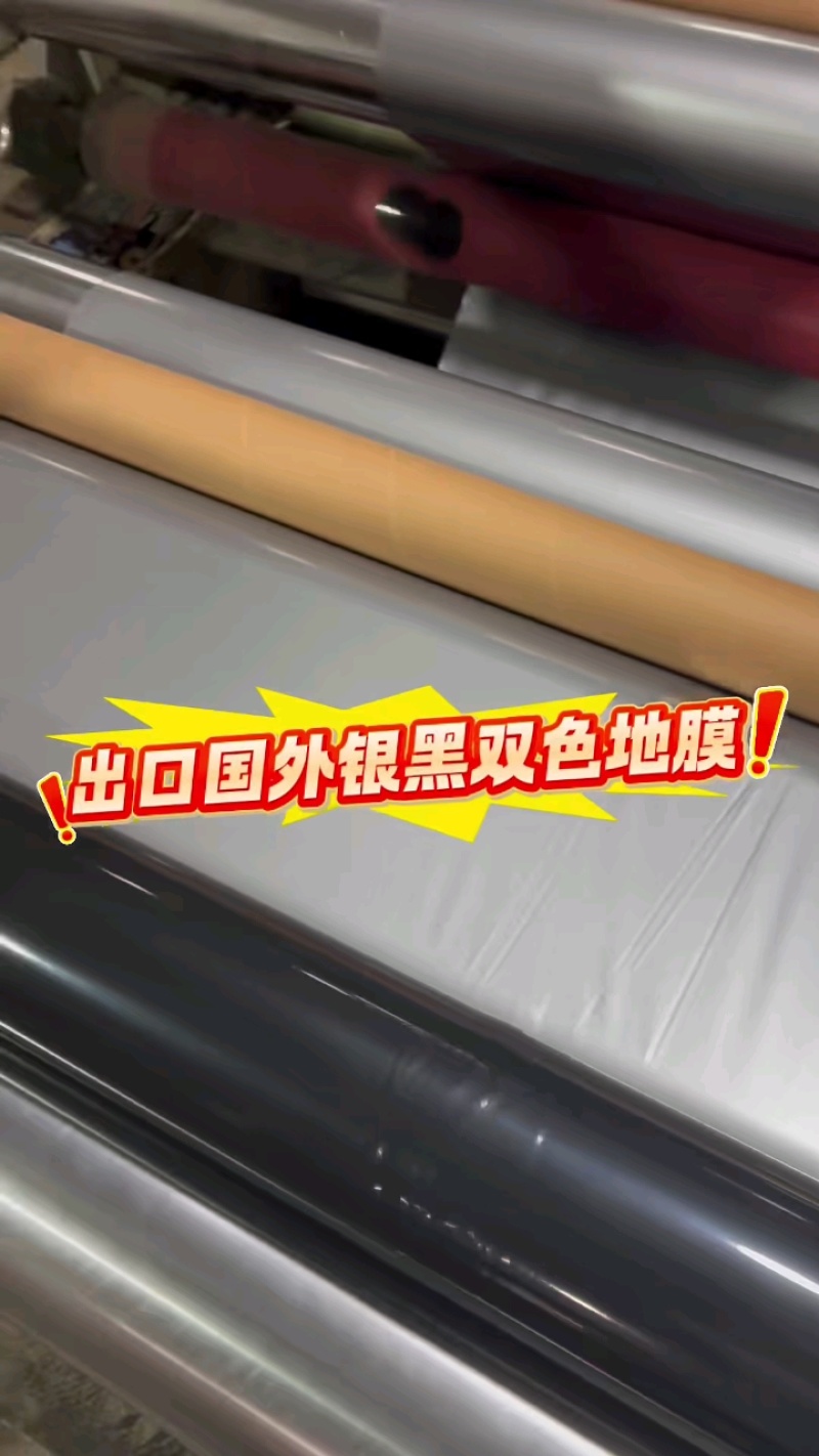 地膜打孔地膜:纯黑地膜银黑双色地膜定制打孔