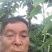 大连暖棚樱桃看货中，量大无过路费