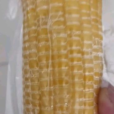 巴彦淖尔甜糯玉米对接电商商贸批发市场支持一件代发