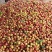湖北精品曙光油桃大量上市品质保证量大从优一手货源