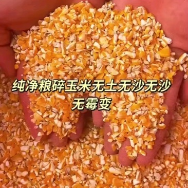 碎玉米饲料原料厂家批发，量大从优欢迎新老客户咨询要货