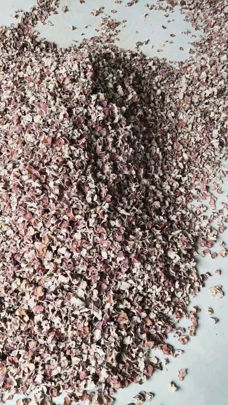 粉木耳红木耳也叫贵妃堪称水果木耳