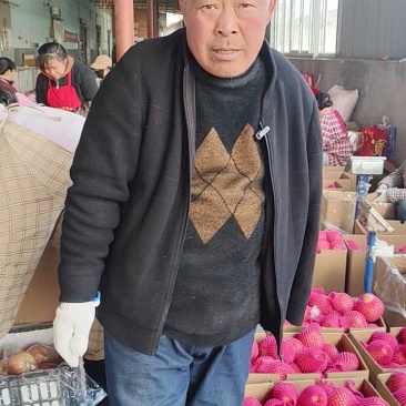 陕西产区红富士苹果欢迎各大市场平台外贸出口公司联系