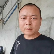 《火爆》湖北油桃大量上市，中油油桃，视频看货一手货源