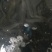 鳗鱼苗白鳝鱼苗淡水养殖日本鳗鱼苗规格尺寸可选良种鱼苗养殖