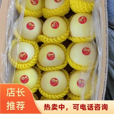 景甜甜瓜山东济南产地口感甘甜货源充足欢迎老板致电咨询