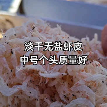虾皮淡干无盐虾皮，规格齐全产地直发支持视频看货