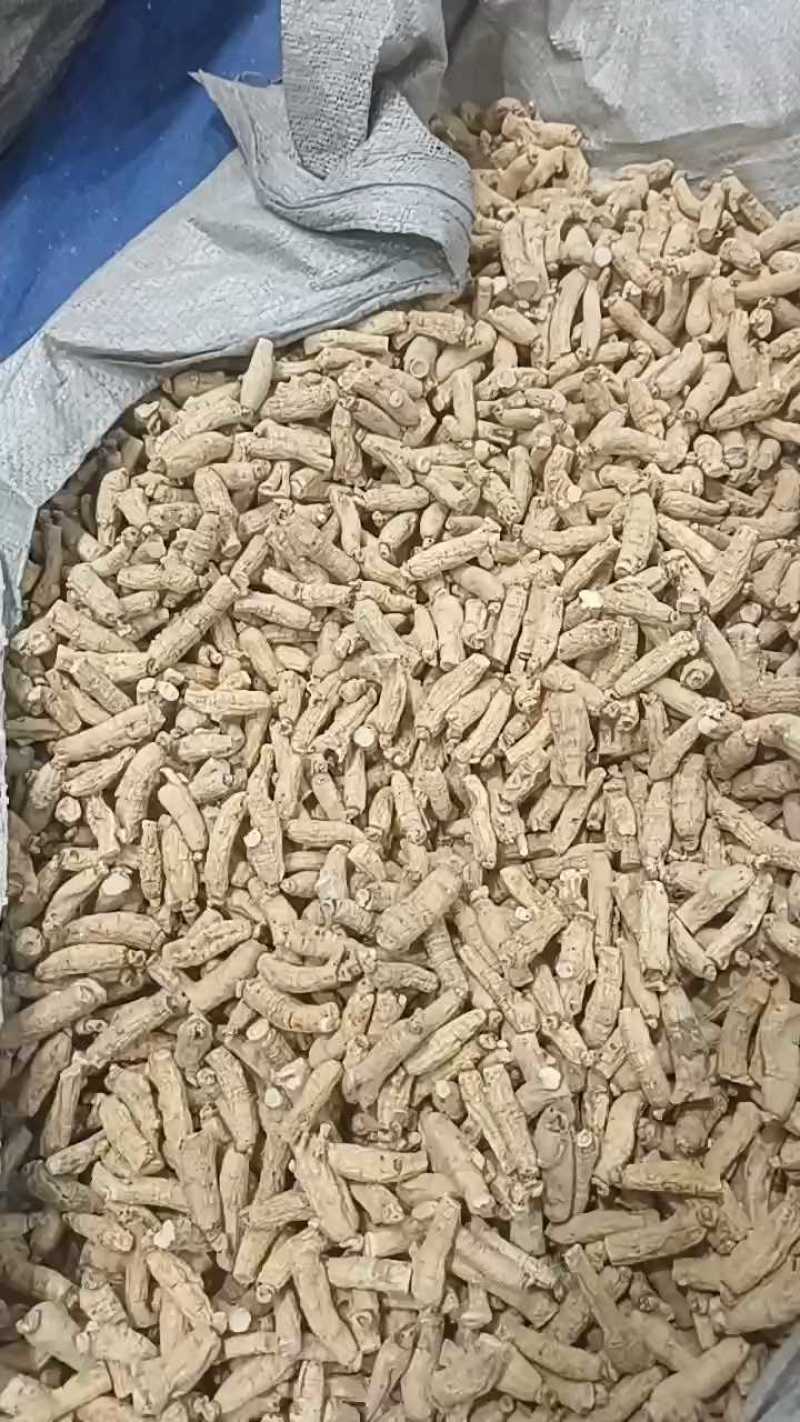 【西洋参条】西洋参硬质长条自产自销包邮量大优惠