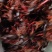 洪湖清水小龙虾，蟹塘虾价格详谈每日行情波动1-2元