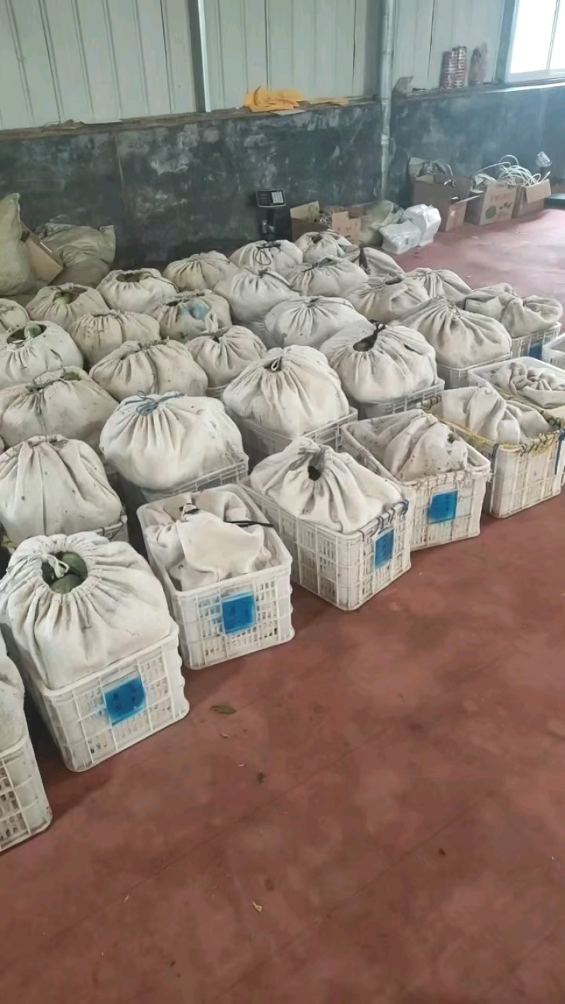 金冠甜瓜支持一件代发，社区团购，对接各大水果市场