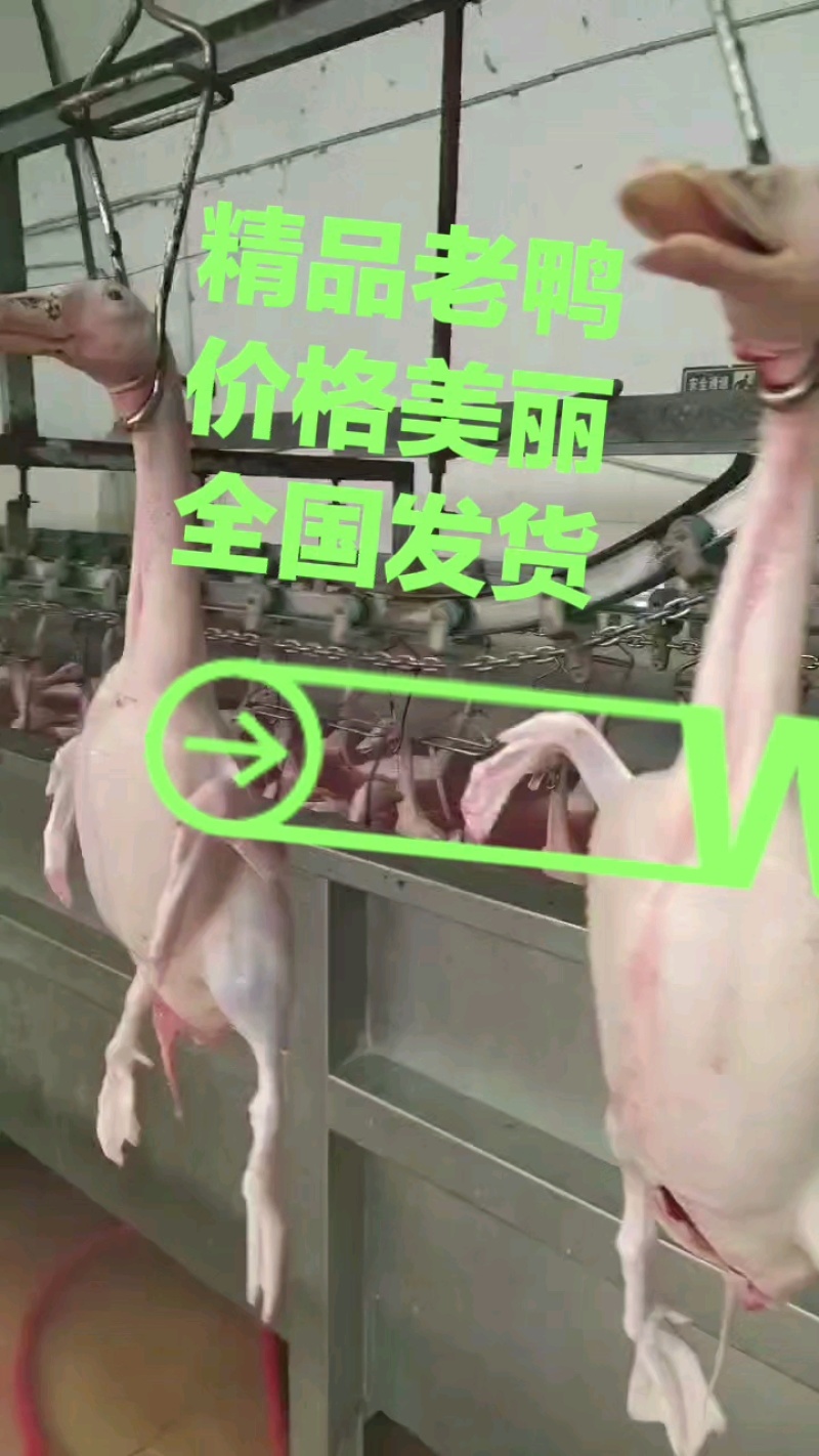品质有保障，老顾客回头率高