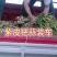 紫皮鲜蒜把子蒜个大均匀并有专业团队为你护航！