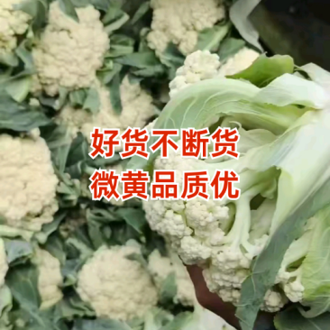 好货不断，有点黄的精品货。