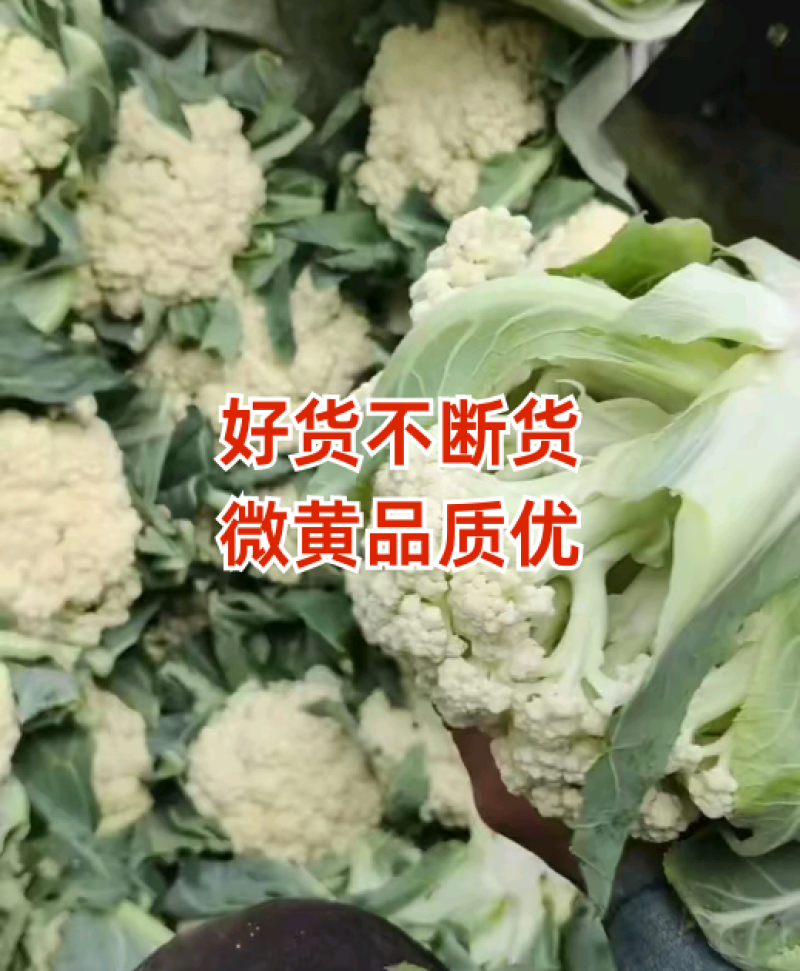 好货不断，有点黄的精品货。