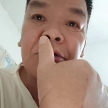 广西宾阳节瓜大量上市