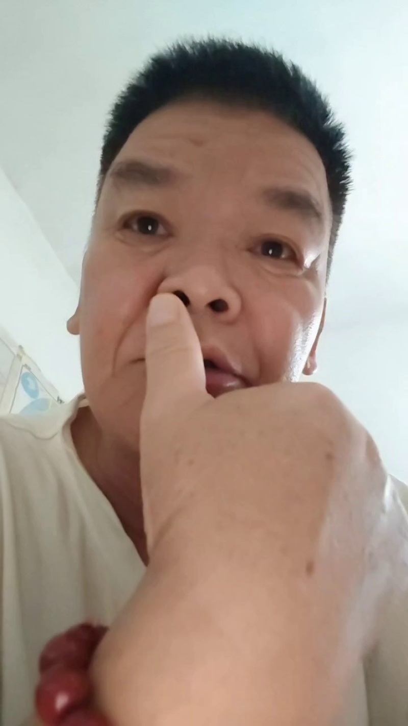 广西宾阳节瓜大量上市
